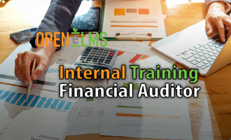 Internal Training Financial Auditor